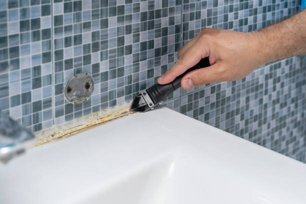 Best Professional Mold Removal  in Freeburg, IL