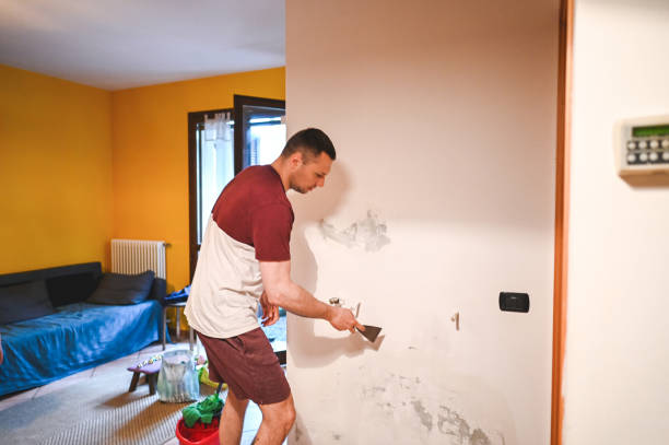 Trusted Freeburg, IL Mold Removal Experts